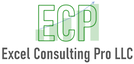 EXCEL CONSULTING PRO